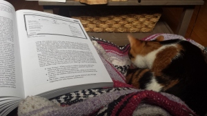 Homework Cat